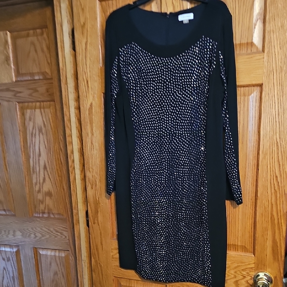 Elegant Black and Silver Women's Dress